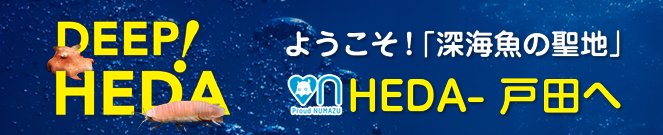 ようこそ！「深海魚の聖地」HEDA-戸田へ